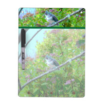 Mésange tuftée : Oiseau de bébé nouvellement emplu Tableaux Effaçables Blancs