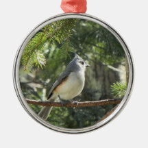 Mésange tuftée ornement