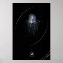 MICRO POSTERS