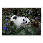 Mini carte de voeux de lapin de Rex