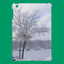 Mini cas d'étang d'iPad givré de ~ coques mini ipad