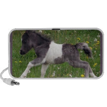 Mini cheval haut-parleurs iPod