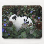 Mini mousepad de lapin de Rex Tapis De Souris