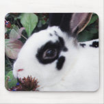 Mini Rex Mousepad Tapis De Souris