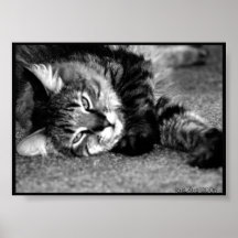 Minou extensible posters