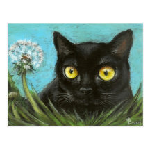 Minou noir carte postale