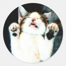 minou somnolent autocollants