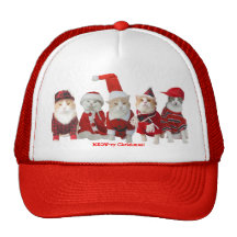 Minous de Noël Casquettes De Camionneur