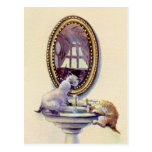 MIROIR de CHATON par SHARON SHARPE Carte Postale