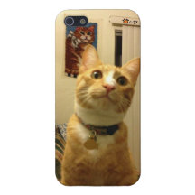 Miss.Chrissy's CGK iPhone5 case iPhone 5 Cover