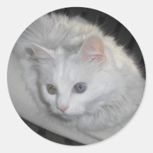 Mitties Autocollants