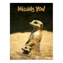 Mlle You Postcard Carte Postale