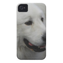 modèle Ca de l'iphone 4 à peine là QPC - customisé Coques iPhone 4