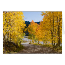 Modèle de carte de voeux de feuille d'automne
