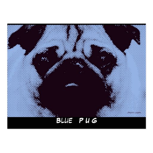 Modèle de cartes postales, chien bleu de carlin