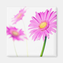 Modèle de marguerites de lavande customisé par mar aimant pour réfrigérateur