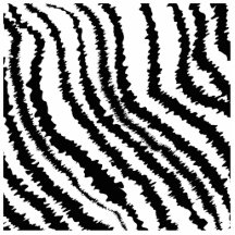 Modèle noir d'impression de zèbre découpages en acrylique