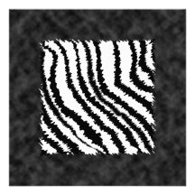 Modèle noir et blanc d'impression de zèbre bristol personnalisé