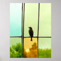 Moineau dans la fenêtre - un moineau dans la vieil affiches