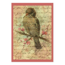 Moineau vintage modèles de cartes de visite