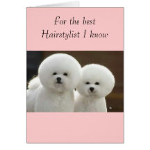 mon coiffeur carte de vœux