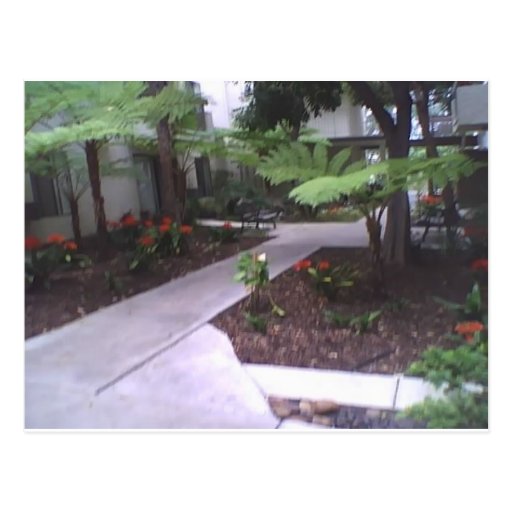 Mon jardin intérieur carte postale