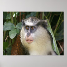 Mona Affiche