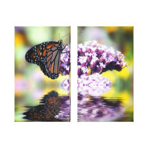 Monarque de septembre impression sur toile