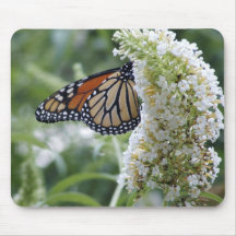 Monarque Mousepad Tapis De Souris