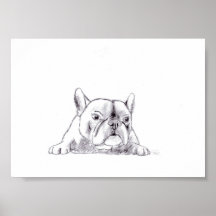 Monsieur âgé Bulldogge… Posters