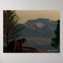 Montagne d'ours posters