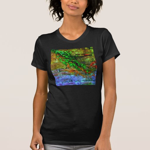 Montée de la chemise de murs t-shirt
