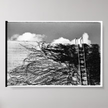 montée posters