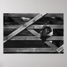 Montre de matin posters