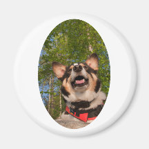 Montrez-moi heureux magnets pour réfrigérateur