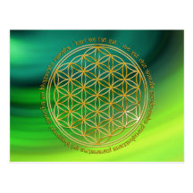 Moola mantra/fleur de la vie | de waves green carte postale