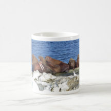 Morse sur la glace de mer de Béring Tasse