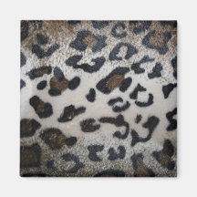 Motif de peau de léopard magnets