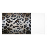 Motif de peau de léopard photocarte