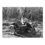 Motocyclette Cartes Postales