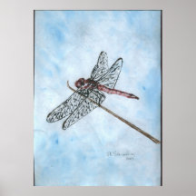 Mouche de dragon posters