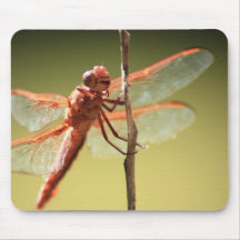 Mouche de dragon tapis de souris
