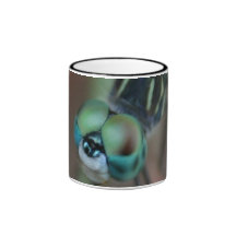 Mouche de dragon tasse