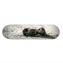mouche morte planches à roulettes