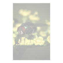 mouche papier à lettre customisé