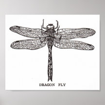 Mouche vintage de dragon affiche