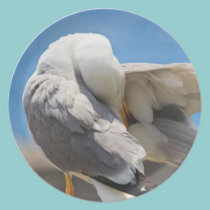 Mouette assiettes