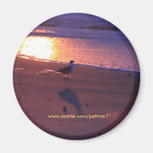 Mouette Magnets