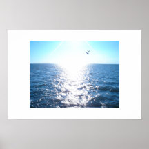 Mouette Poster