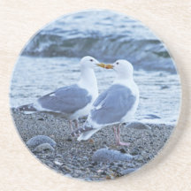 Mouettes embrassant sur la photo de plage dessous de verres